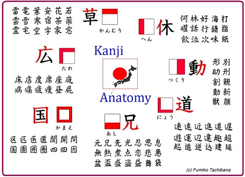 Học tiếng Nhật online