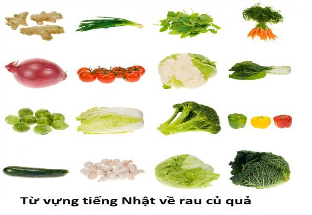 Học từ vựng tiếng Nhật theo chủ đề về rau củ Việt Nam