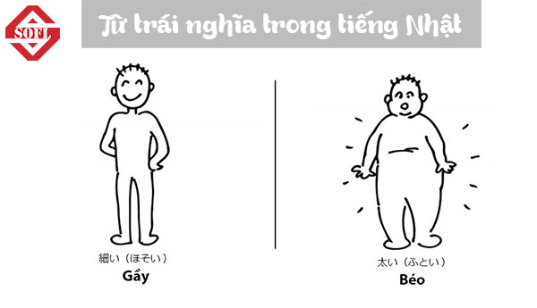 Từ trái nghĩa trong tiếng Nhât từ trái nghĩa trong tiếng nhât