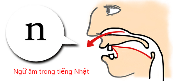 Ngữ âm trong tiếng Nhật Ngữ âm trong tiếng Nhật