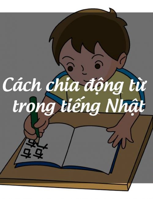 cach-chia-dong-tu-tieng-nhat-1