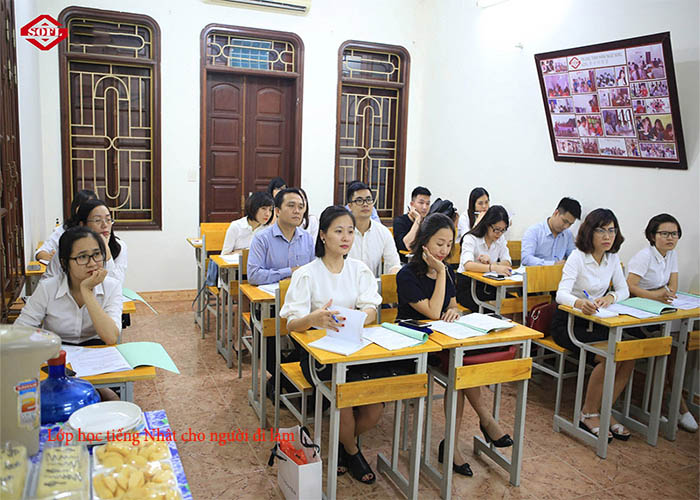 Lớp học tiếng Nhật cho người đi làm tại SOFL hoc tieng nhat uy tin tai ha noi
