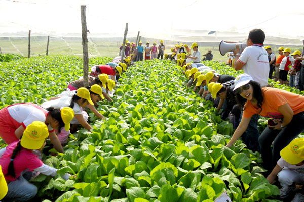 tu-vung-tieng-nhat-ve-nong-nghiep Học từ vựng tiếng Nhật chủ đề về Nông Nghiệp